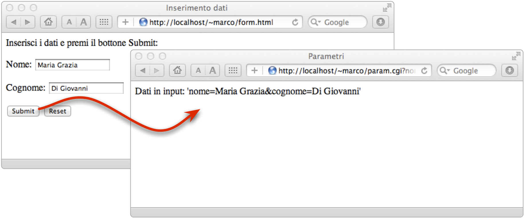 Dalla pagina “<tt>form.html</tt>” viene richiamato lo script “<tt>param.cgi</tt>” passando i dati inseriti dall'utente nei campi della form; lo script CGI visualizza i dati ricevuti attraverso l'interfaccia CGI come un'unica stringa di testo
