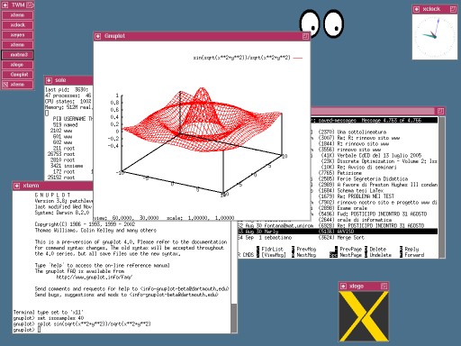Una sessione X Window con TWM window manager